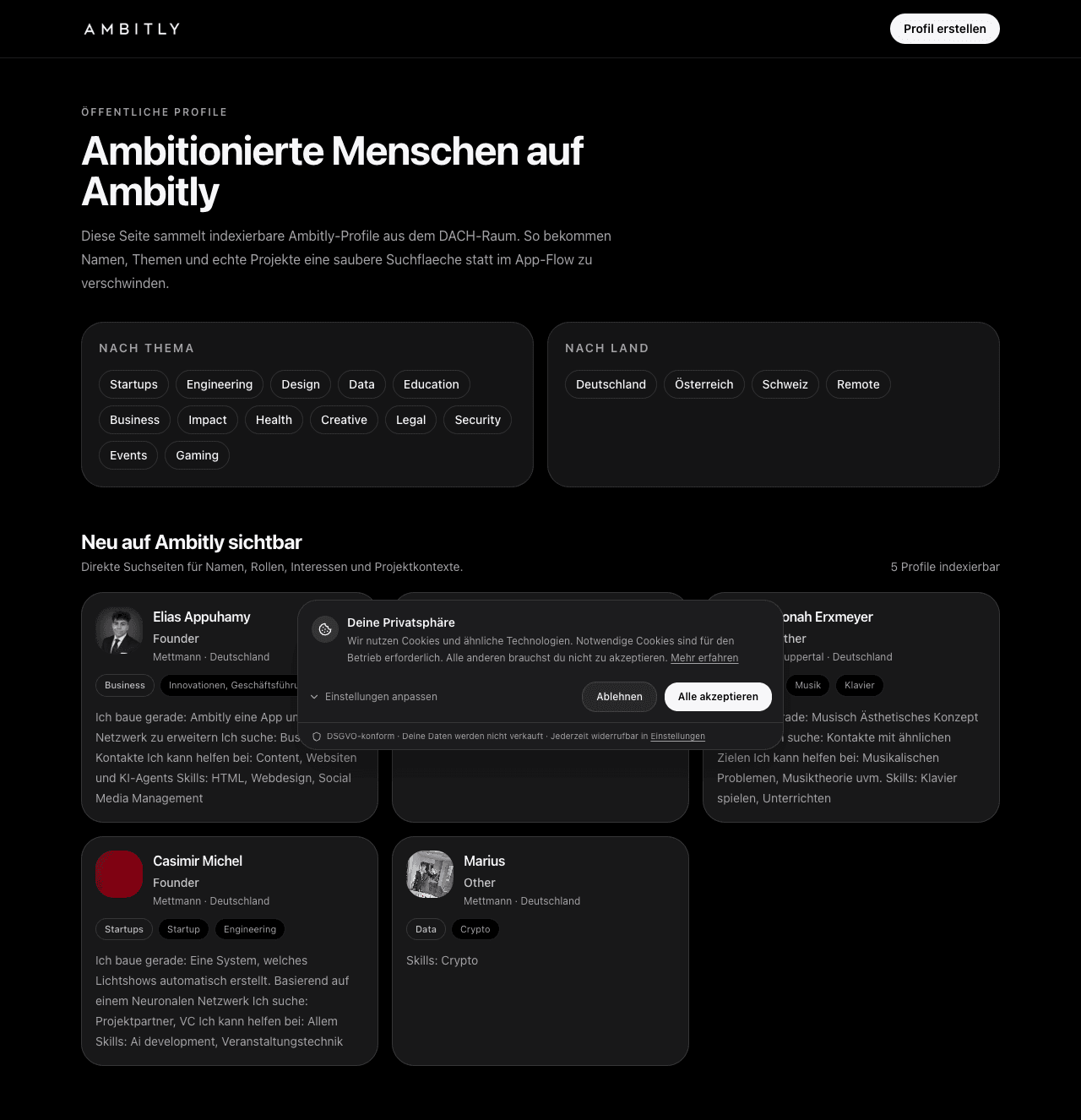 Screenshot öffentlicher Ambitly Profile
